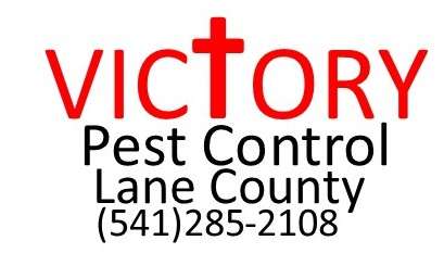 victory pest control lane county (541)-285-2108